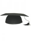 graduation hat P74674 afstudeerhoed P74674